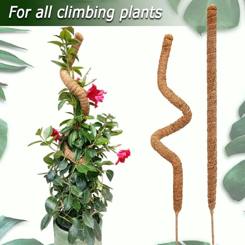 Stâlp flexibil din fibră de cocos și mușchi, 80 cm, Suport pentru plante Monstera, Grilaj extensie grădină pentru cățărare verticală - Ajutor pentru extensia plantelor