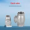 Stainless Steel Internal Thread Horizontal Check Valve