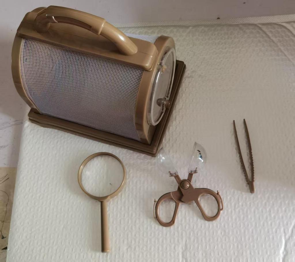 Portable Insect Observation Cage for Butterflies, Silkworms, and Bees