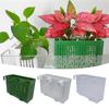 Hydroponic Hanging Aquarium Plant Holder Water Plant Landscape Aquarium Planter Cups  for Fish Tank