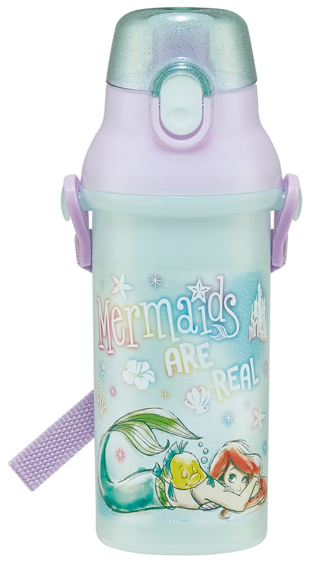

Skater Ariel 23 Water for Antibacterial Made in Bottle, 480ml, Girls, Plastic, Japan, PSB5SANAG-A