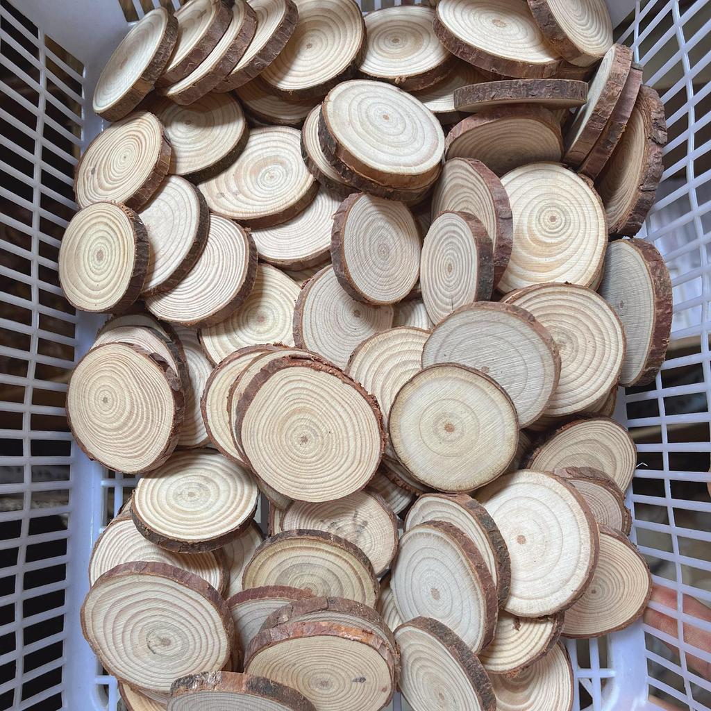 DIY Hand-Painted Wooden Slices for Crafts and Kindergarten Decor – Small Natural Wood Pieces with Growth Rings