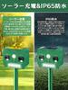 Latest Cat ZOUXO Ultrasonic Cat Popular Animal Highly Dog and Bird Powerful LED Infrared Dual Ultrasonic Solar Long Standby IP65 Waterproof and 12m
