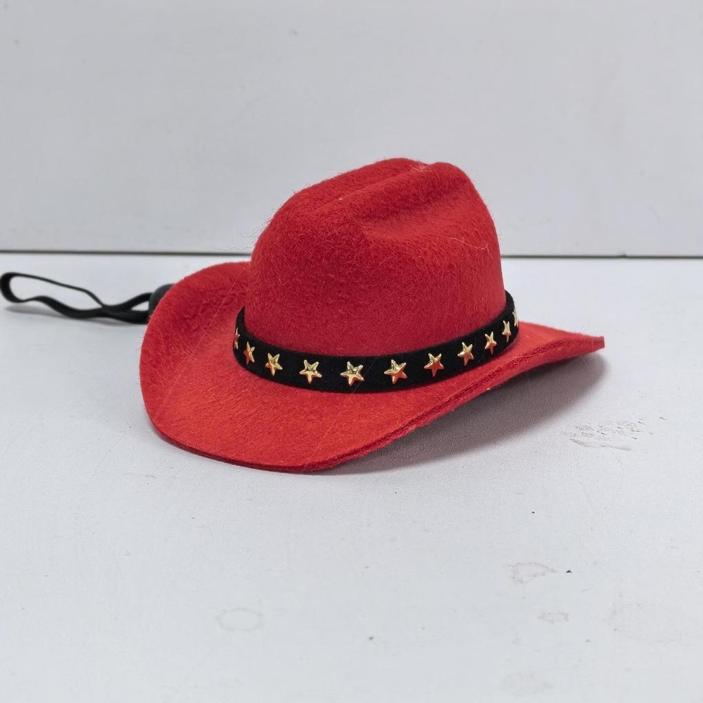Denim Cowboy Hat with Star for Cats & Small Dogs