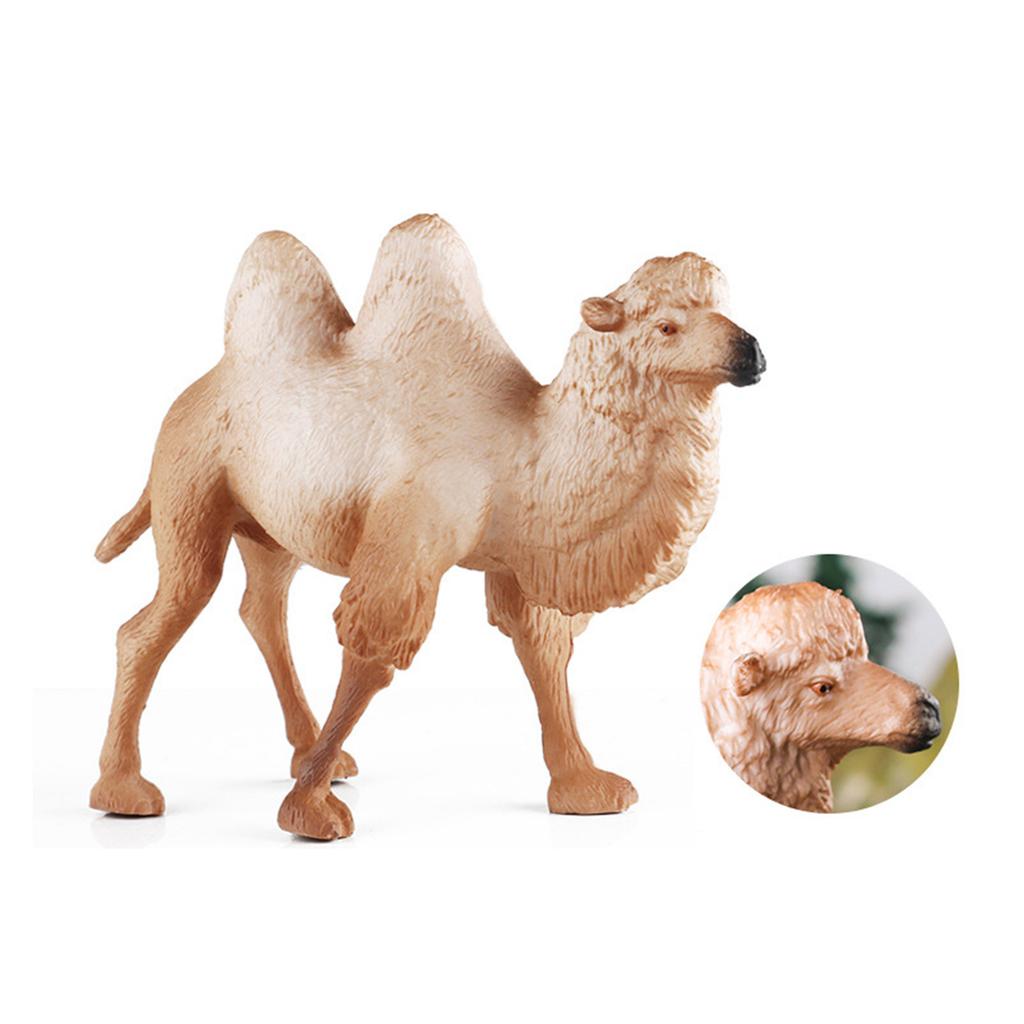 Lebensechtes baktrisches Kamel Modell Figur für Heimdekoration Modell Kamele Tier Spielzeug Auto Tischdekorationen Kinderspielzeug