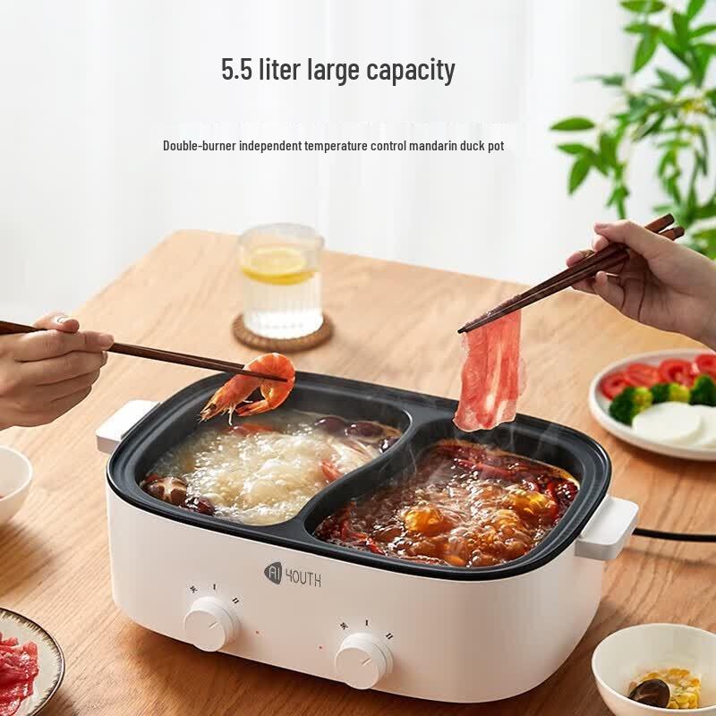 AIYOUTH Multi-functional Divided Electric Hot Pot