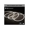 APSMOTIV Bright LED Neon Light 5 Meter 12VDC 16x16 mm Neon Strip Lights 6000K 2835 LEDs, Flexible Silicone IP65 Outdoor/Indoor Neon Light for Bedroom