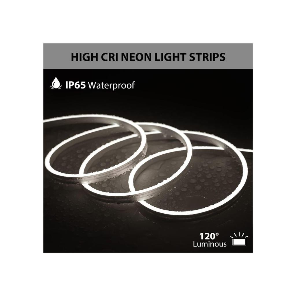 APSMOTIV Bright LED Neon Light 5 Meter 12VDC 16x16 mm Neon Strip Lights 6000K 2835 LEDs, Flexible Silicone IP65 Outdoor/Indoor Neon Light for Bedroom