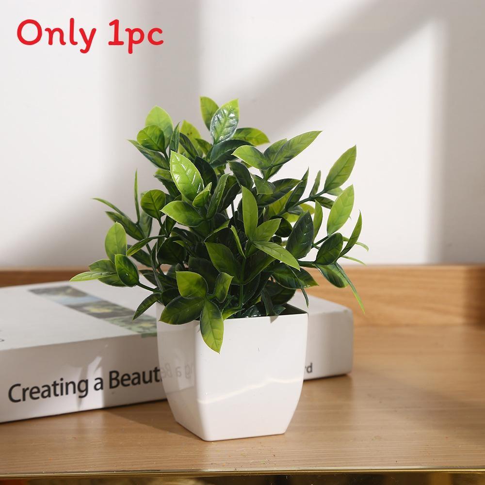 Eucalyptus Potted Greenery Plant For Indoor Living Styling Room
