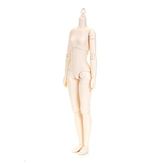Obitsu Seisakujo Sběratelské panenky Obitsu Doll 24BD-F02W-S 24cm Tělo Obitsu Hrudník S Nový Model Bílý