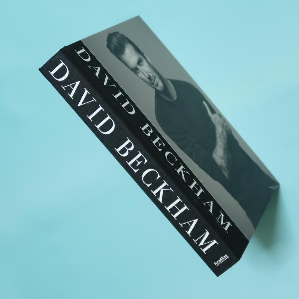 [USED] Foreign Books: David Beckham Photo Collection (Soccer, World Cup)