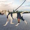 Dog Leg Braces For Back Leg Pet Orthopedic Hip Hock Support Brace Leg Support Bracket Pet Knee Wound Protection For Prevents