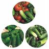 Cucumber Motif Lids for Preserve Jars, 4-Closure