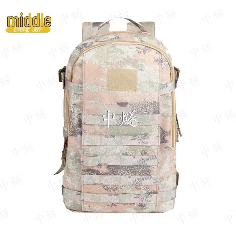 Zhong Sui 19 Tactical Training Backpack