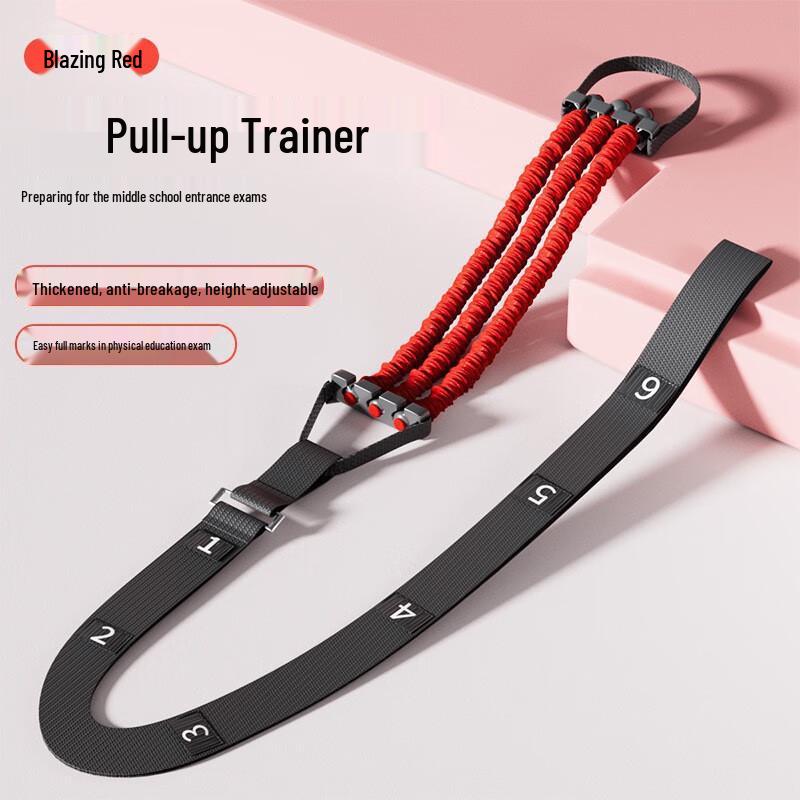 SND Home Fitness Pull-up Bar and Resistance Band Set