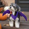 Pet Halloween Costume Decoration