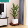 Rectangular Mobile Plant Pot Caddy