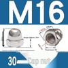 304 Stainless Steel Decorative Cap Nut with Integrated Ball Head DIN1587