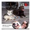 Set of 5 Dog Rope Toys Dog Toys Dog Toys Chew Toys for Pets Cotton Stress Relief Strong Durable Clean Teeth Brushing Suitable for Small/Medium Dogs