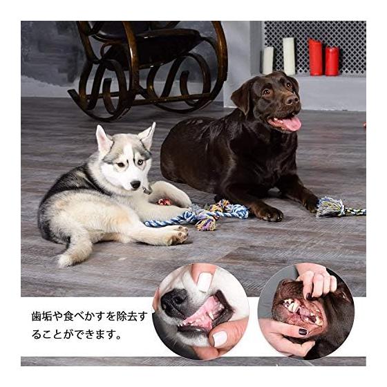Set of 5 Dog Rope Toys Dog Toys Dog Toys Chew Toys for Pets Cotton Stress Relief Strong Durable Clean Teeth Brushing Suitable for Small/Medium Dogs