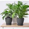 Plastic Round Flower Pots with Tray for Home Planters, Terrace, Garden Etc | Pack of 05 | Dark Grey | Size 6.5 Inch | for Home Indoor & Outdoor