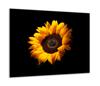 GLASS PROTECTIVE PLATE FOR STOVE 60x52 FLOWER