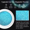 Xiaomi 9D Meteorite Cat Eye Powder Strong Magnetic Nail Glitter Pigment Manicure Holographic Laser Chrome Dust Can Use With Polish Gel
