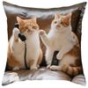 1/2pcs Cat Throw Pillow Cover, Cute Animal Throw Pillow, Bedroom Home Sofa Decorative Cushion Cover