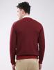 MONTE CARLO Men's V Neck Full Sleeve Pullover