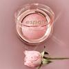 Espoir Strobing Highlighter 8g