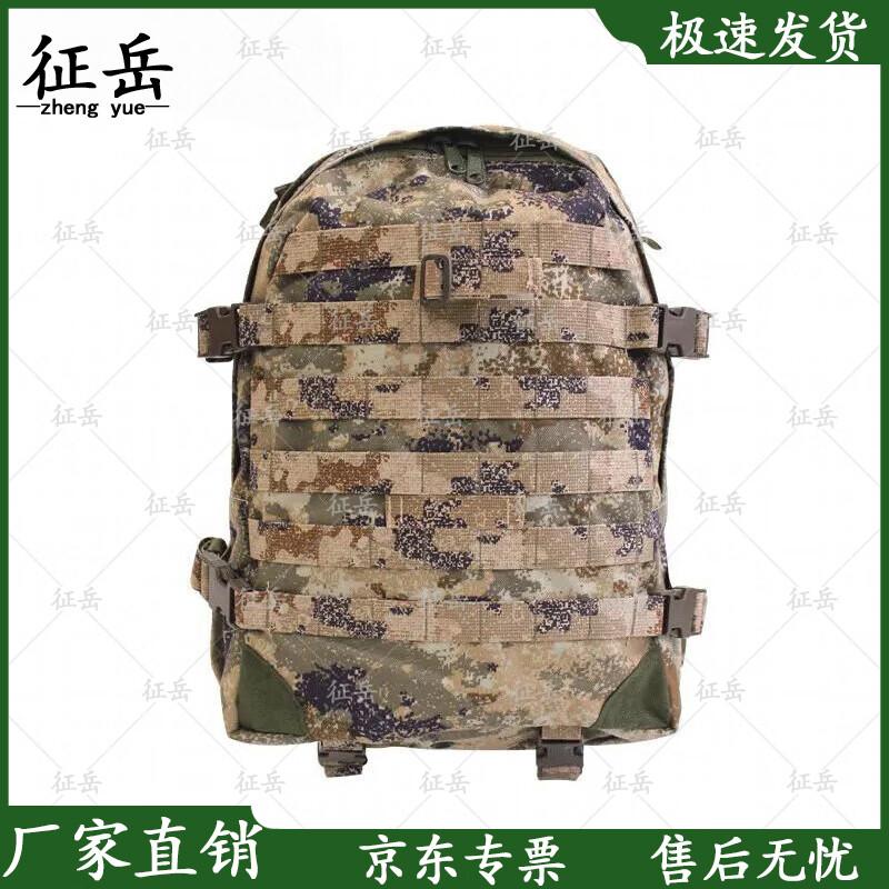 Zhengyue 06A Outdoor Backpack