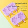 Silicone Food Grade Ice Cream & Popsicle Mold for DIY Treats
