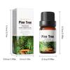 Body Scent Essence Oil, 10ml Moisturizing Care for All Skin Types, Daily Use Fragrance for Women Men, Luxurious Feel