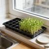 Plant Nursery Tray Multi Hole Seed Starter Pots With Drainage Seedling Grow Containers For Vegetables Flowers Succulents Indoor