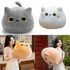 Soft And Cuddly Black Cat Plush Toy For Kids Super Cute And Adorable!