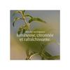 Eau de Toilette - L'OCCITANE - Verveine - 75 ml - Notes citronnées &amp; fraîches - Famille olfactive agrumes