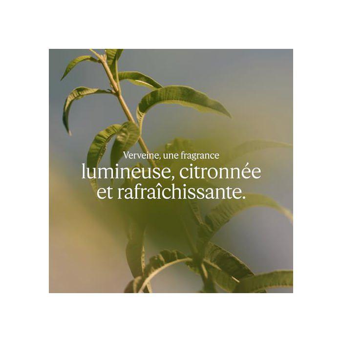 Eau de Toilette - L'OCCITANE - Verveine - 75 ml - Notes citronnées &amp; fraîches - Famille olfactive agrumes