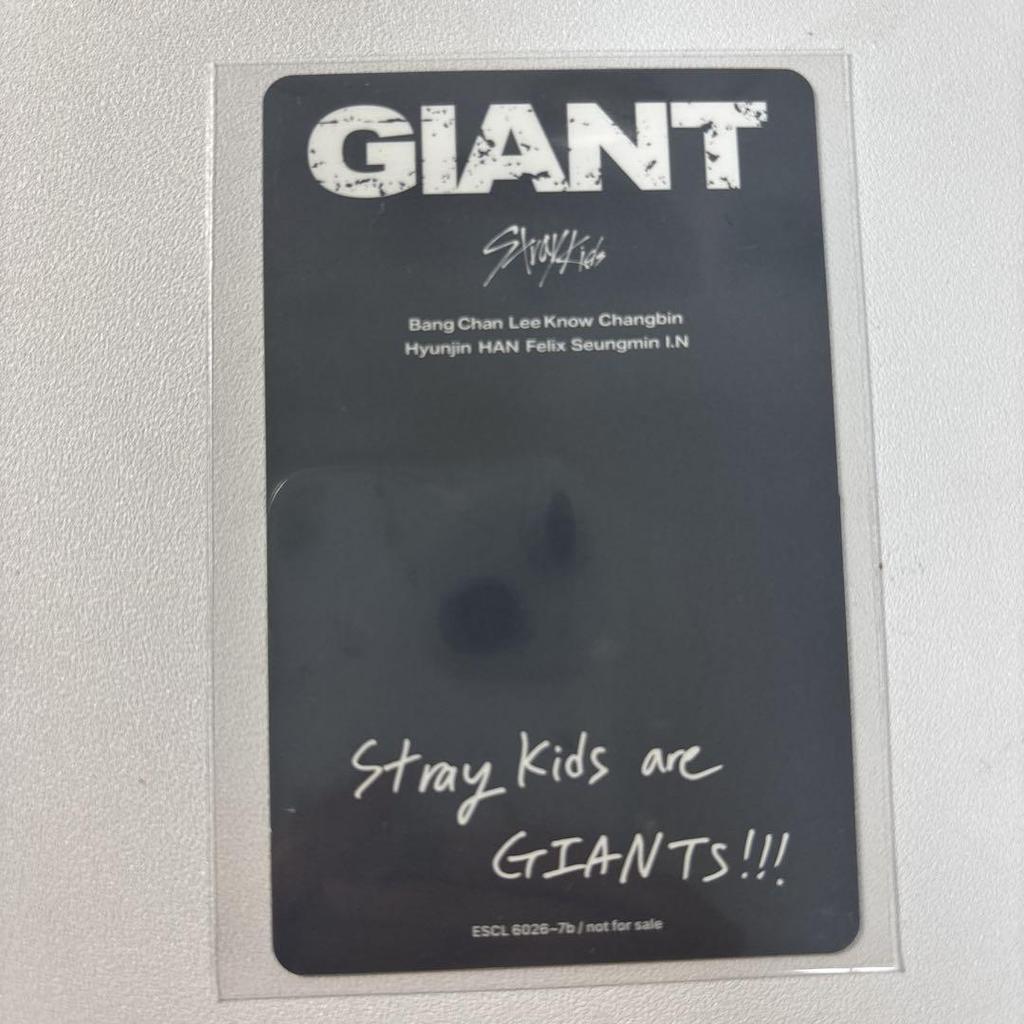 [USED] StrayKids Seungmin