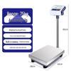 Industrial Electronic Counting & Weighing Platform Scale (CN Version)