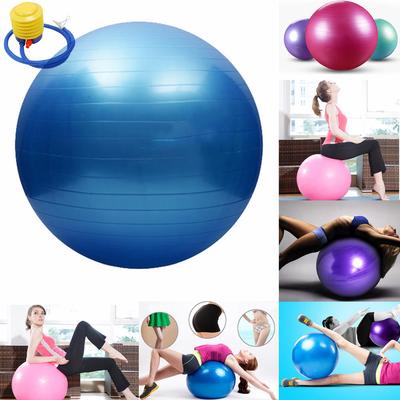 Fitness and Exercise Pump Included Purple SAHE PRODUCTS Inflatable Twist Massage Balance Board Wobble Cushion Twist Massage Balance Workout Disc
