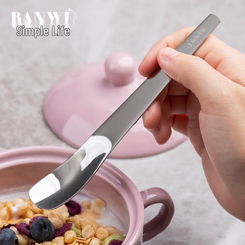 Multipurpose Stainless Steel Dessert Spoon