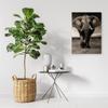 Canvas Print, Elephant XXL On the Savannah