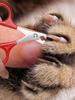 Pet Claw Trimmer Tool Professional Cat Nail Scissors Dog Nail Clippers Cat Nail Scissors Pet Grooming Supplies for Small Dogs
