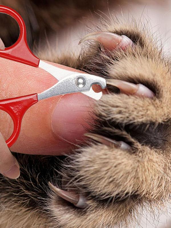 Pet Claw Trimmer Tool Professional Cat Nail Scissors Dog Nail Clippers Cat Nail Scissors Pet Grooming Supplies for Small Dogs