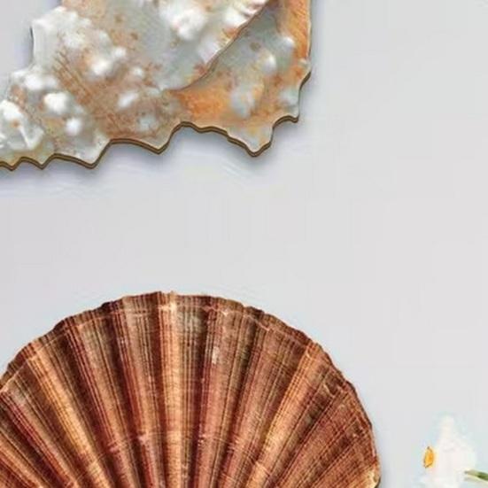 3 Pcs Beach Wall Decor Wooden Seashell Starfish Wall Decoration Rustic Ocean Coastal Nautical Wall Art for Living Room Bathroom Balcony