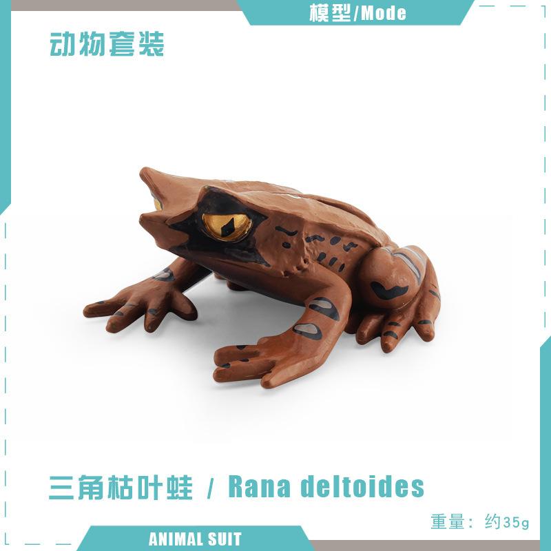 Simulated Insect Model, Liriodendron Beetle, Beetle, Triangular Dead-Leaf Frog, Reptile, Desktop Toy