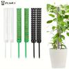 Green Plastic Moss Poles for Indoor Plant Climbing Flexible Plant Support Stakes for Growing Monsteras Home Room Decoration