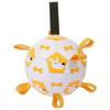 Interactive Dog Toy Ball - ETPU Squeaky Football Outdoor Play Training 15cm/19cm Multiple Colors