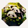 1pc Four Winning Pandas Automatic Opening and Closing Umbrella - Suitable for Various Occasions, Outdoor Activities, Lightweight and Durable