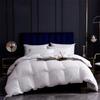 Pierte Polo Goose Down Comforter